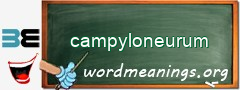 WordMeaning blackboard for campyloneurum